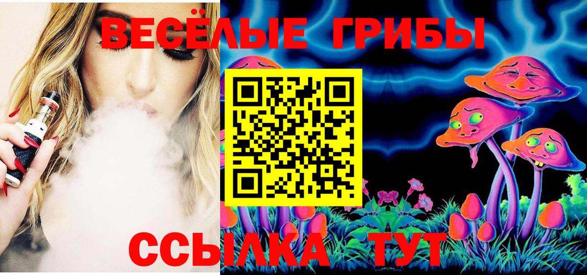Галлюциногенные грибы Psilocybe Среднеуральск