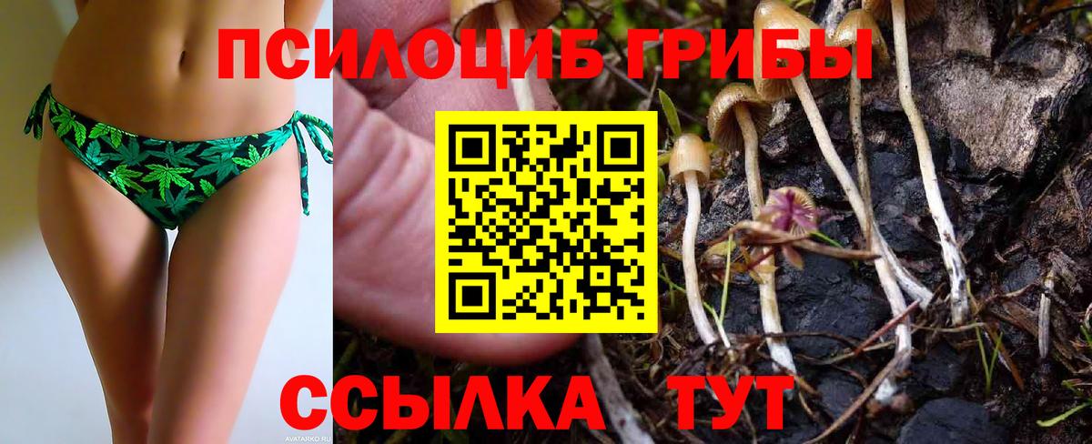 Псилоцибиновые грибы Cubensis  Вход с VPN  Среднеуральск 